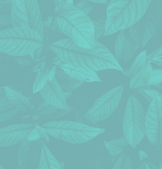 Otrzymuj informacje 
o wydarzeniach, 
inspirujących wnętrzach 
i nowych produktach FDESIGN.